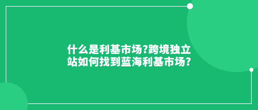 什么是利基市場(chǎng)?跨境獨(dú)立站如何找到藍(lán)海利基市場(chǎng)?