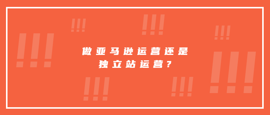 做亞馬遜運(yùn)營(yíng)還是獨(dú)立站運(yùn)營(yíng)?分別要做些什么?